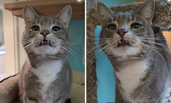 ��� ������ � ������� ����� �������. �� ��� ����� ��� ����� ������ ����� ����� �� ���