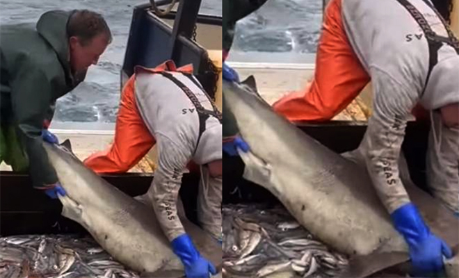 �������� ����: 9Gag