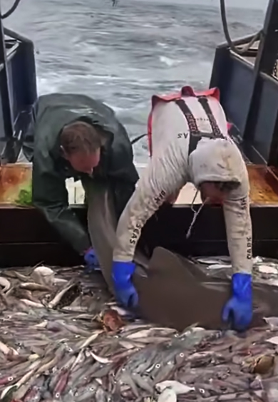 �������� ����: 9Gag