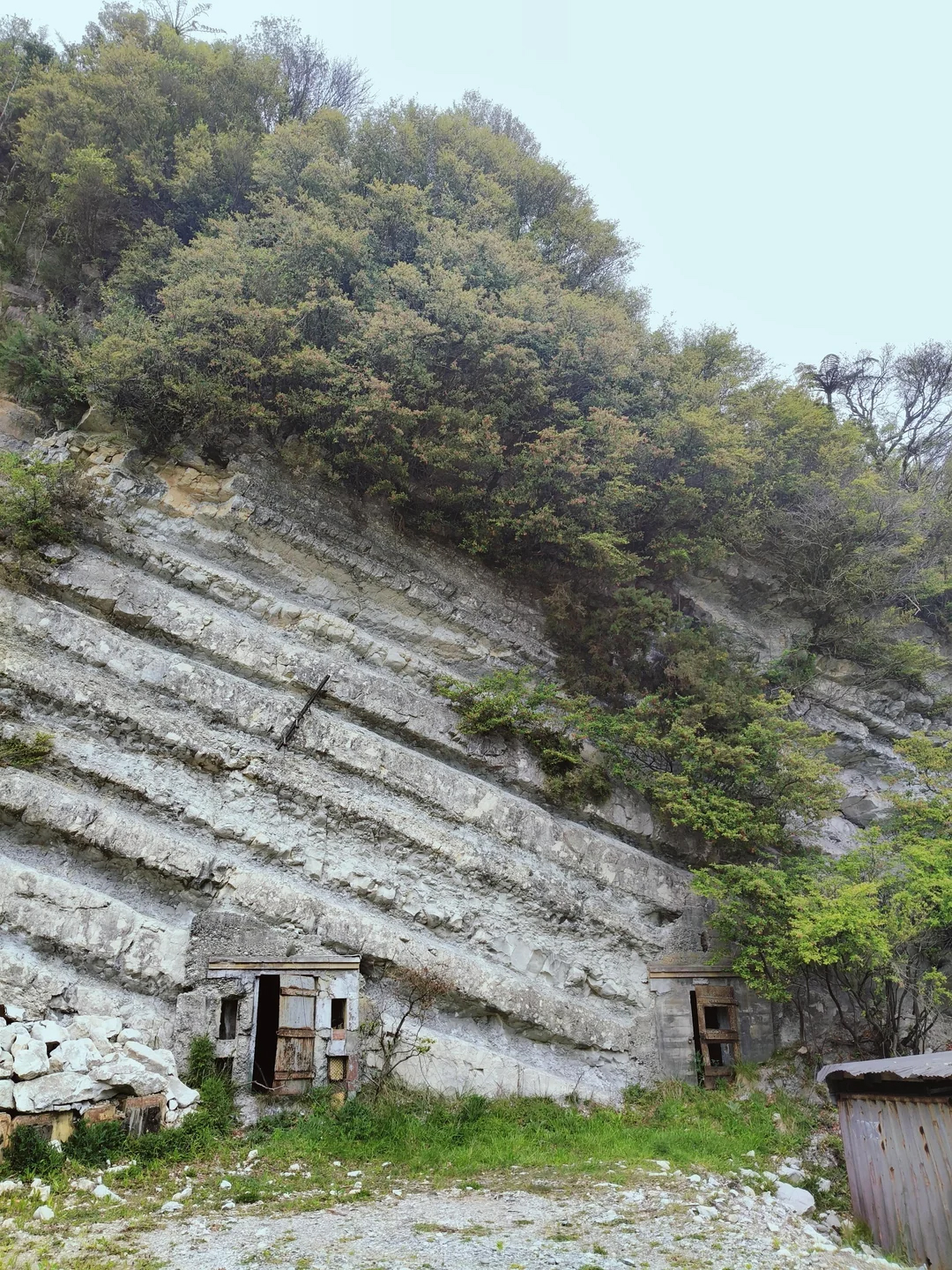 �������� ����: Reddit