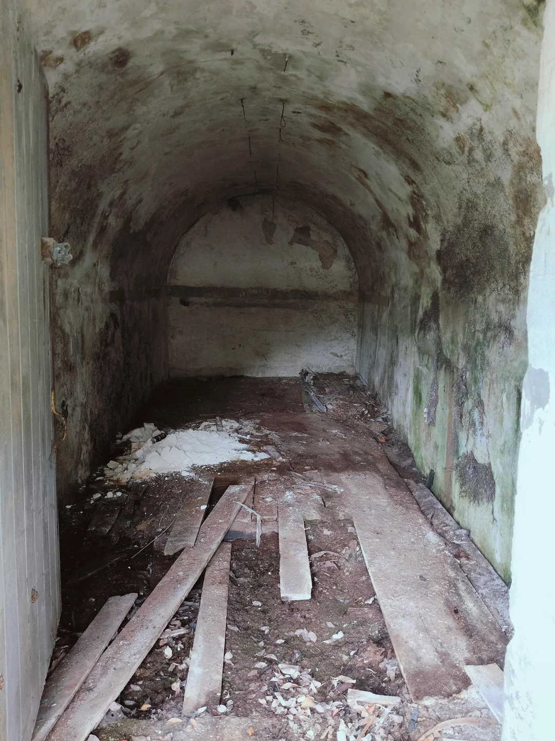 �������� ����: Reddit