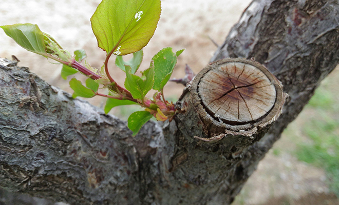 �������� ����: Unsplash