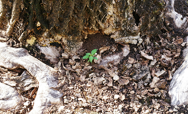 �������� ����: Unsplash