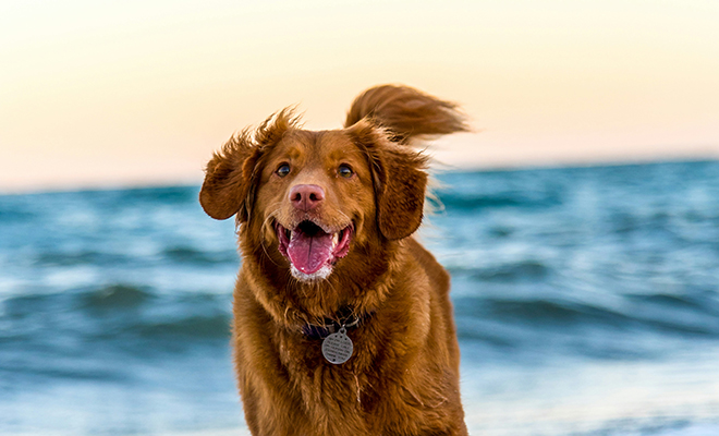 Источник фото: Unsplash