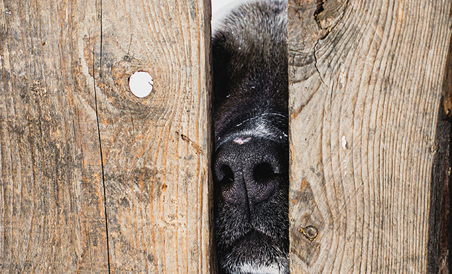 �������� ����: Unsplash