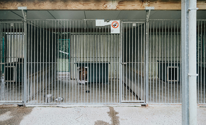 �������� ����: Unsplash