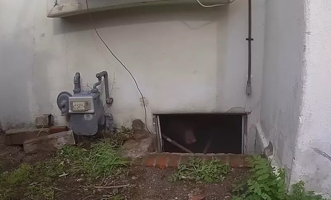 �������� ����: Ken Johnson/KTLA 5