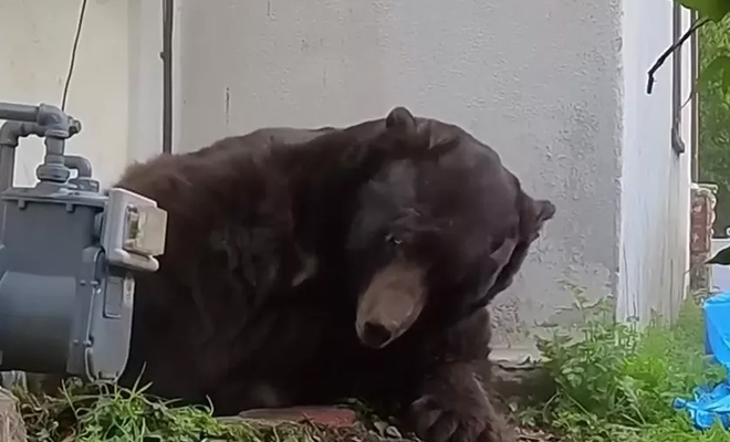 �������� ����: Ken Johnson/KTLA 5