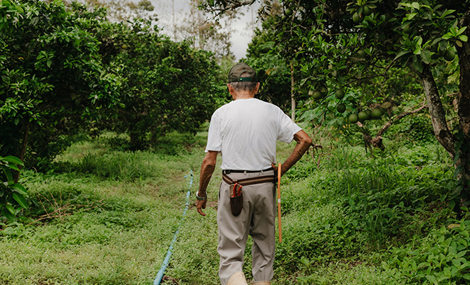 Источник фото: Unsplash