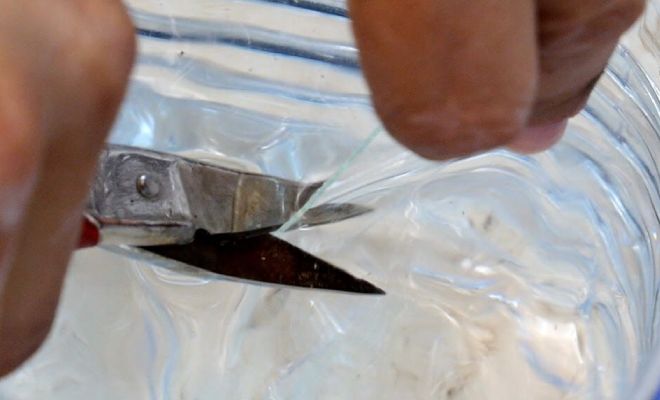 ���� �� �����