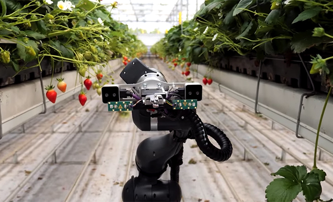 �������� ����: YouTube/@Techful Gadgets/��������