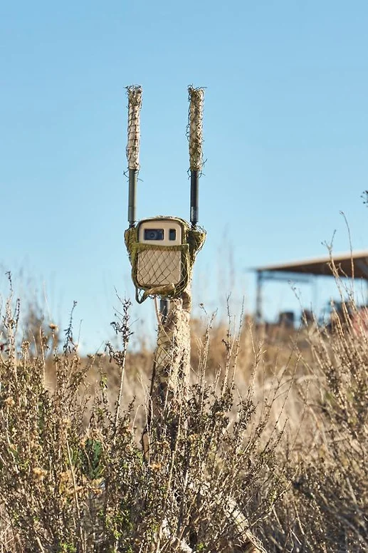 �������� ����: Anduril