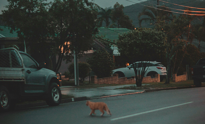 �������� ����: Unsplash