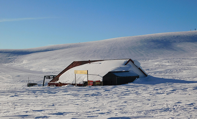 Источник фото: Unsplash