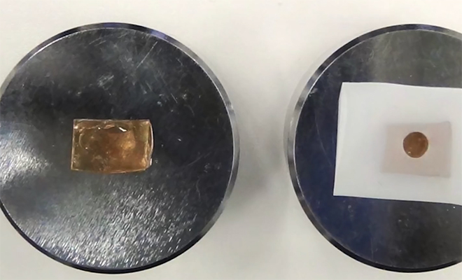 Источник фото: YouTube@Science Magazine/Скриншот