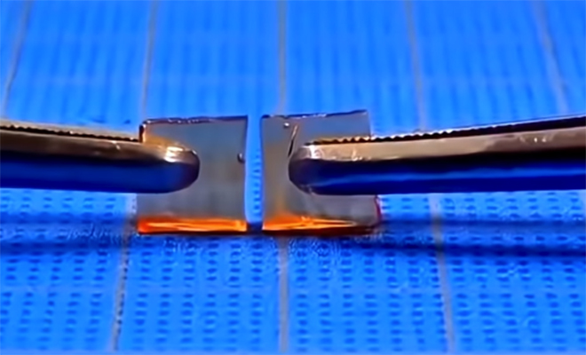 Источник фото: YouTube@Science Magazine/Скриншот