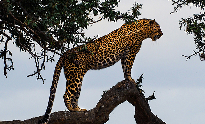 �������� ����: Unsplash