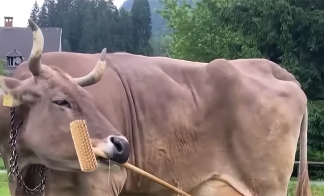 �������� ����: YouTube@CBS News/��������