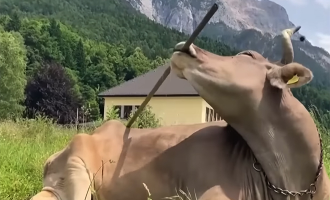 �������� ����: YouTube@CBS News/��������