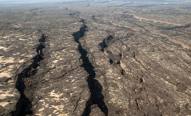 Источник фото: DavidMPyle / Wikimedia.org