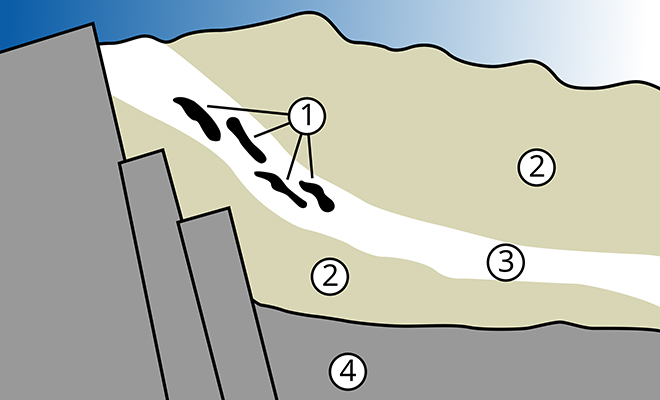 Источник фото: Wikipedia