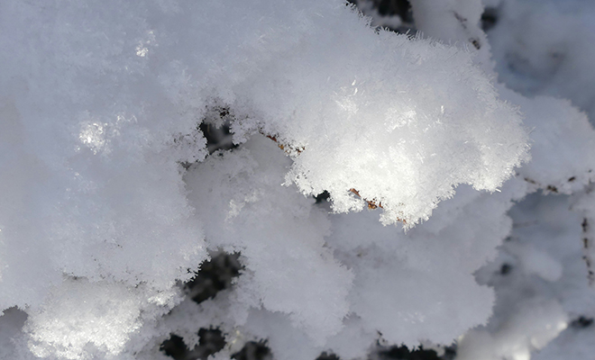 Источник фото: Unsplash