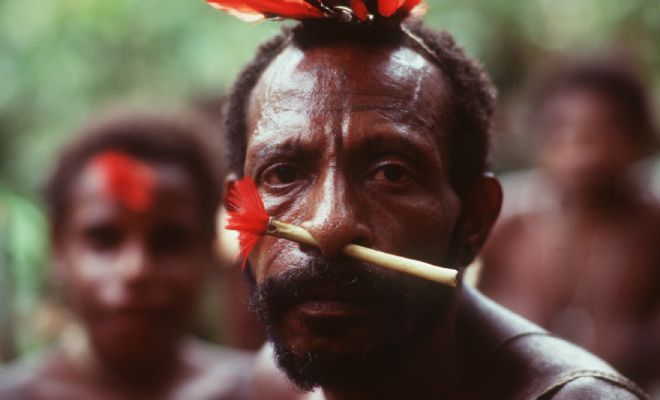 ����: Portal Raizes