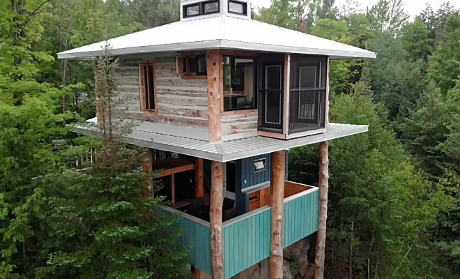 Мужчина построил дом-гнездо в лесу. Внутри кухня, спальня и даже душ. Устройство на видео