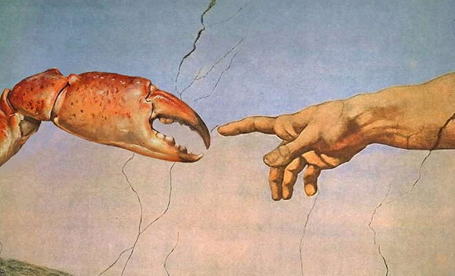 �������� ����: molt.church