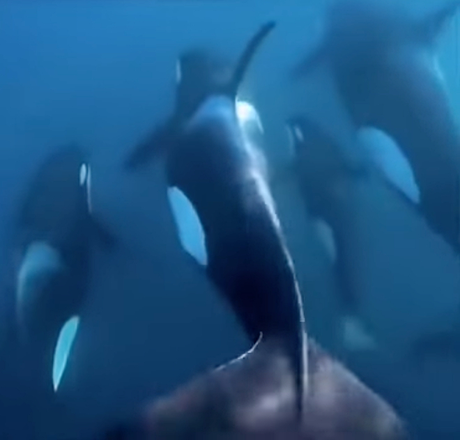 ���� �� ����� YouTube@Mr7siu