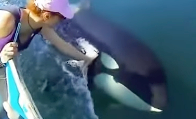 ���� �� ����� YouTube@Mr7siu