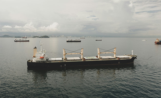 �������� ����: Unsplash