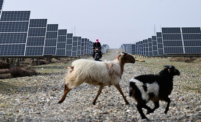 �������� ����: Xinhua/Zhang Long