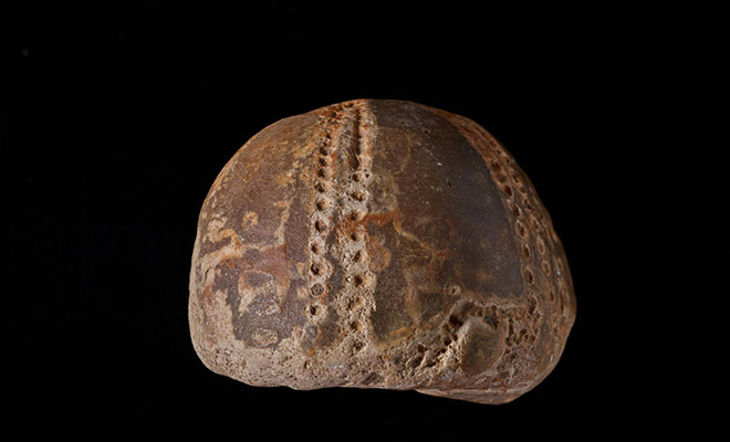 �������� ����: Unsplash