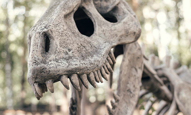 �������� ����: Unsplash