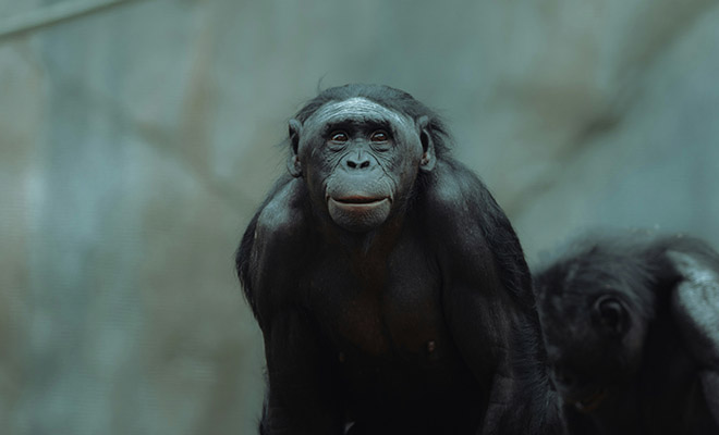 �������� ����: Unsplash