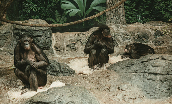 �������� ����: Unsplash