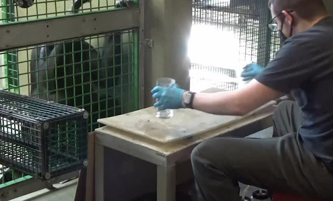 �������� ����: Creative Commons