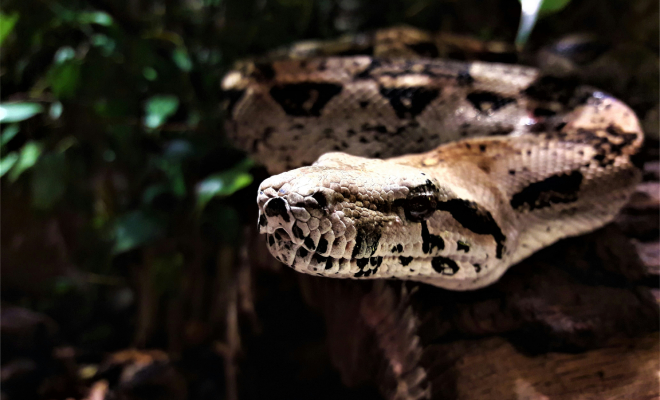 ����: Unsplash