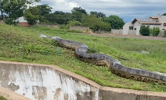 ���� �� ����� @gabrito4