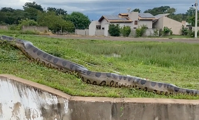 ���� �� ����� @gabrito4