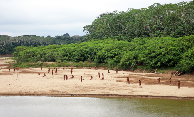 ���� Survival International