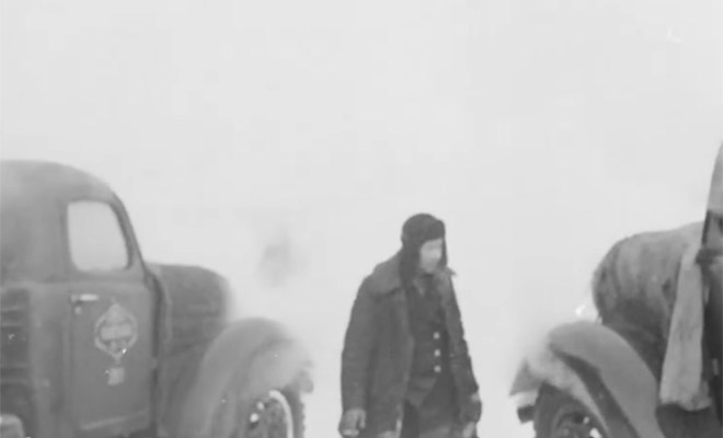 Источник фото: соцсети