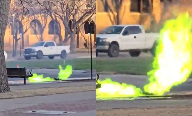 Источник фото: Reddit