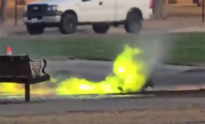 Источник фото: Reddit