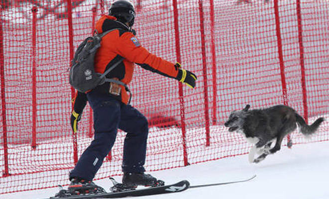Фото: социальные сети