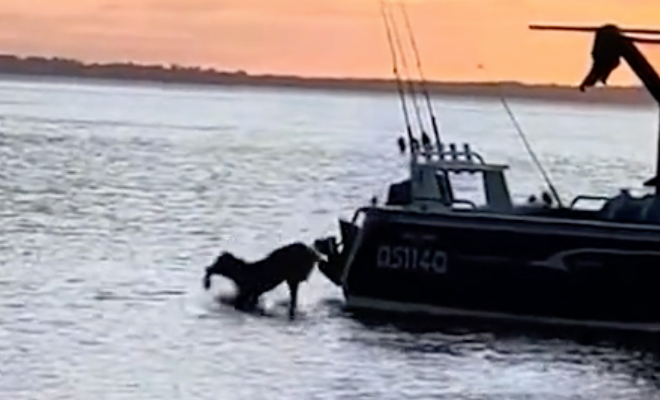 Кадр из видео Sarah Isobel