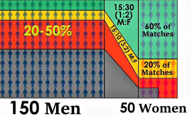 ����: ���������� ����