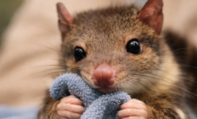 ������ ��������� ������ �������, � ����� ��������� ��� ��������, ����������� �������� ����� ����