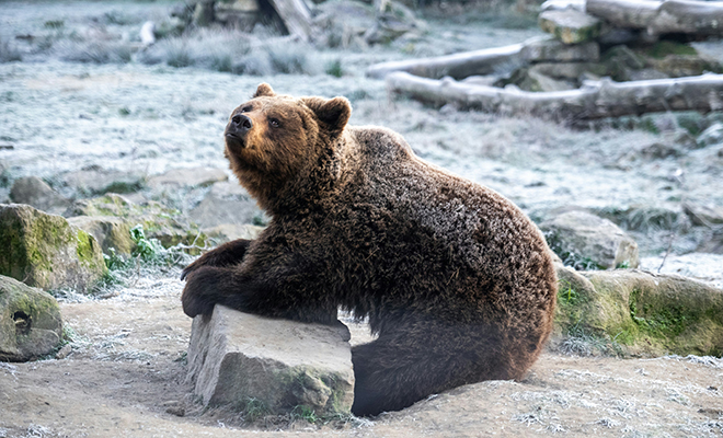 ����: Unsplash